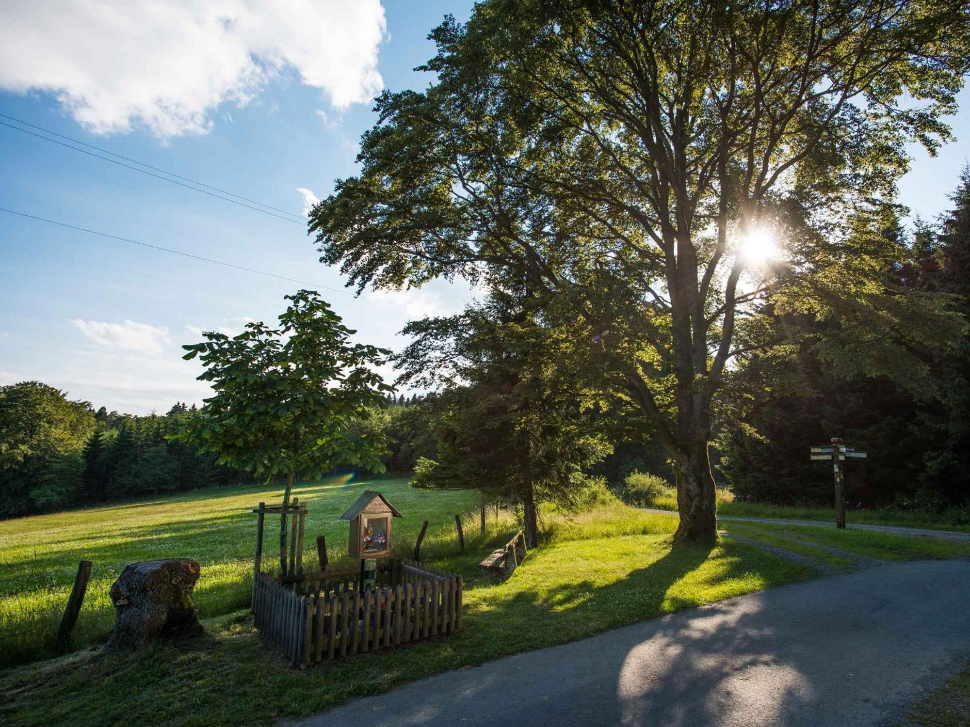 Ferienwohnung Zur Basemicke Schmallenberg Exteriör bild