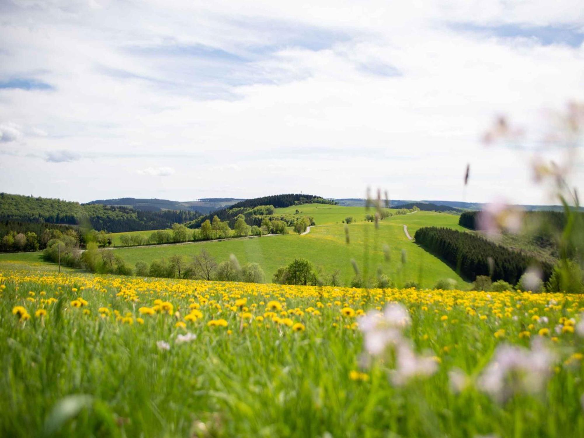 Ferienwohnung Zur Basemicke Schmallenberg Exteriör bild