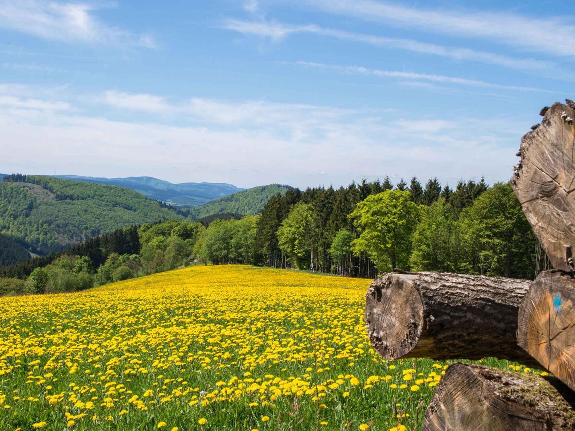 Ferienwohnung Zur Basemicke Schmallenberg Exteriör bild